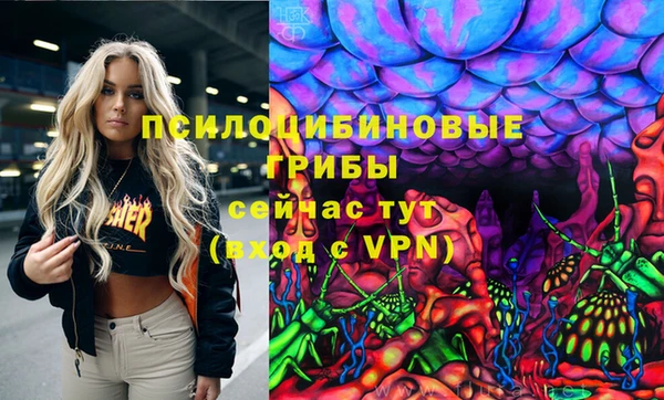 соль ск Алексин