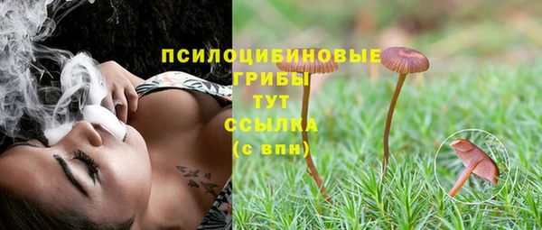 амф Алексеевка