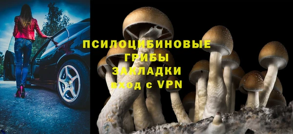 соль курить ск Алзамай