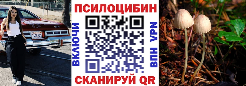 blacksprut как войти  Анапа  Галлюциногенные грибы Psilocybine cubensis 