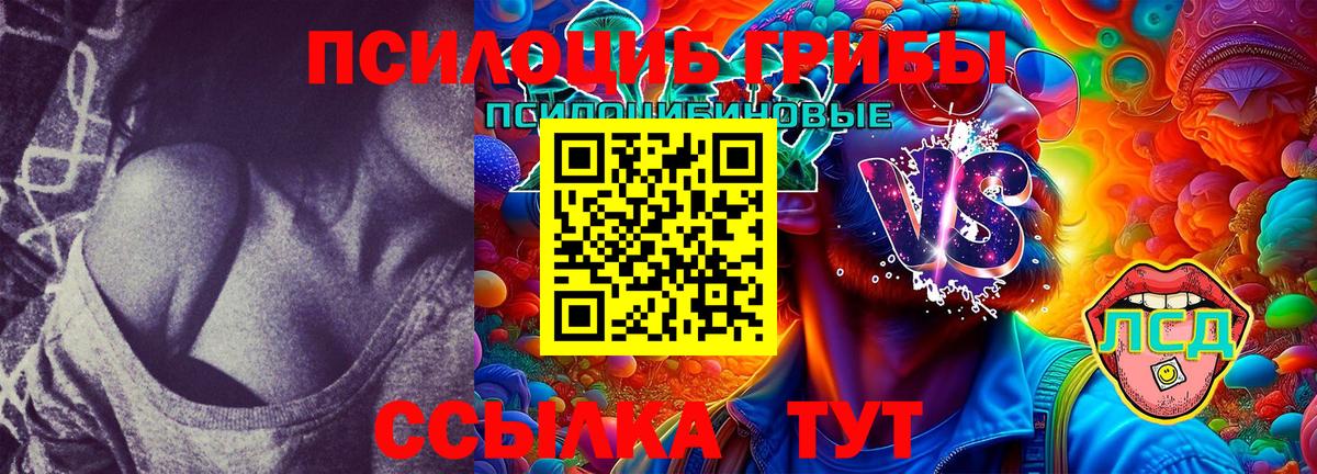 Псилоцибиновые грибы Psilocybine cubensis Анапа