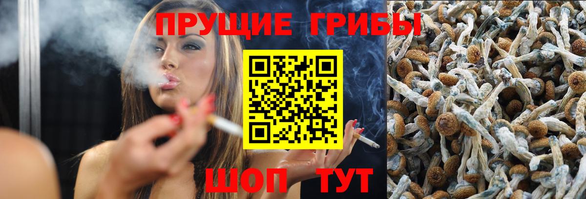 Галлюциногенные грибы Cubensis  Галлюциногенные грибы ЛСД  Анапа  Вход с VPN 